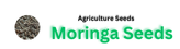 Moringa Seeds